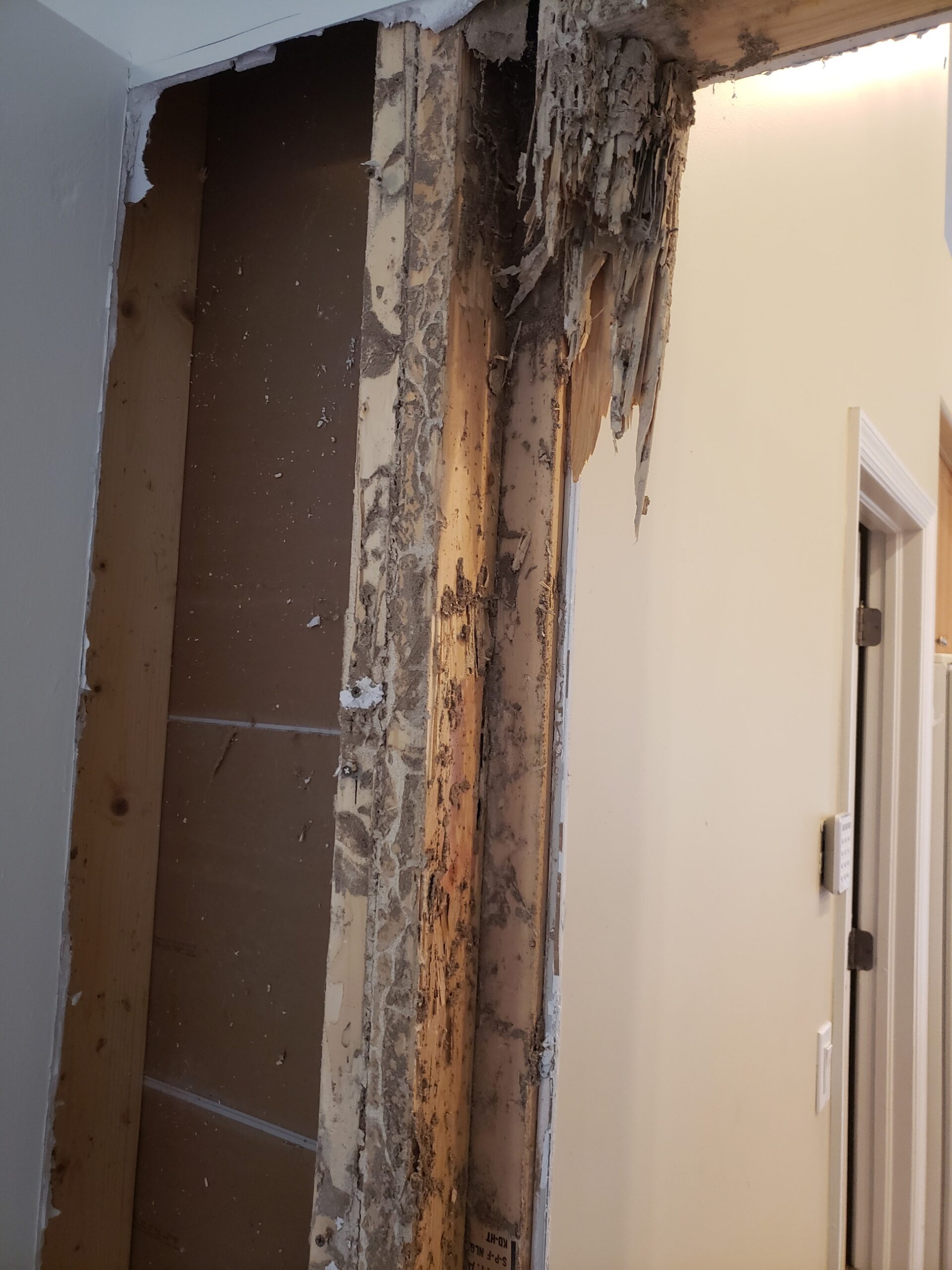 Interior wall opened up to reveal termite-damaged door framing and mud tubes