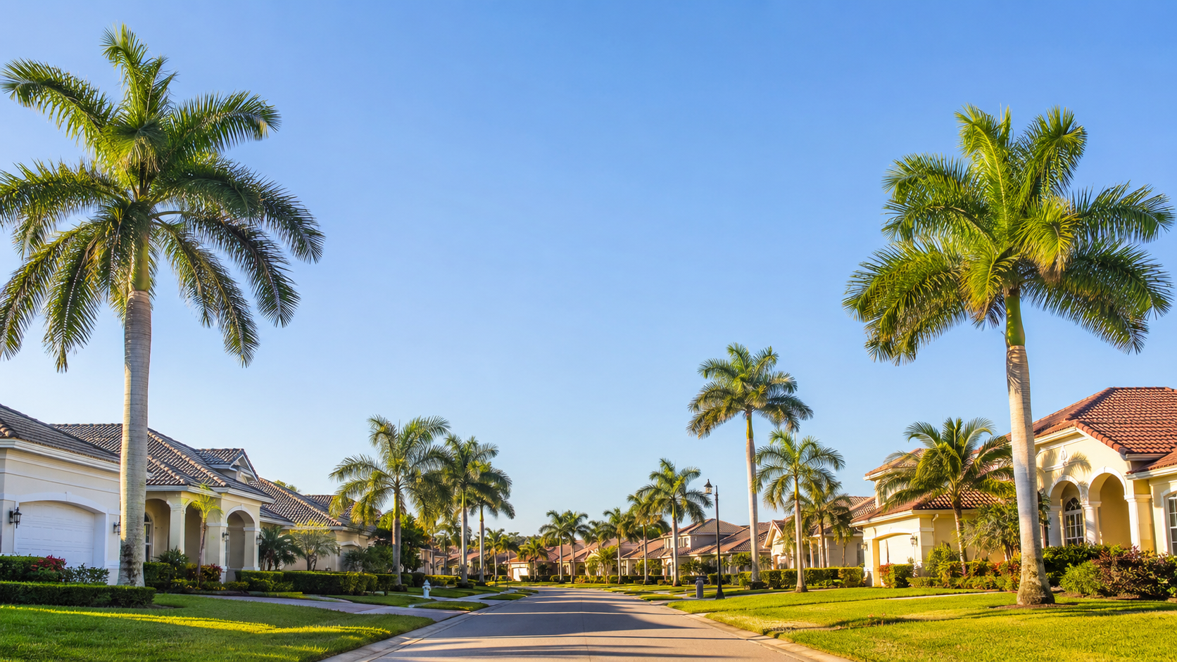 Quiet Southwest Florida residential street lined with tall palm trees and tidy homes