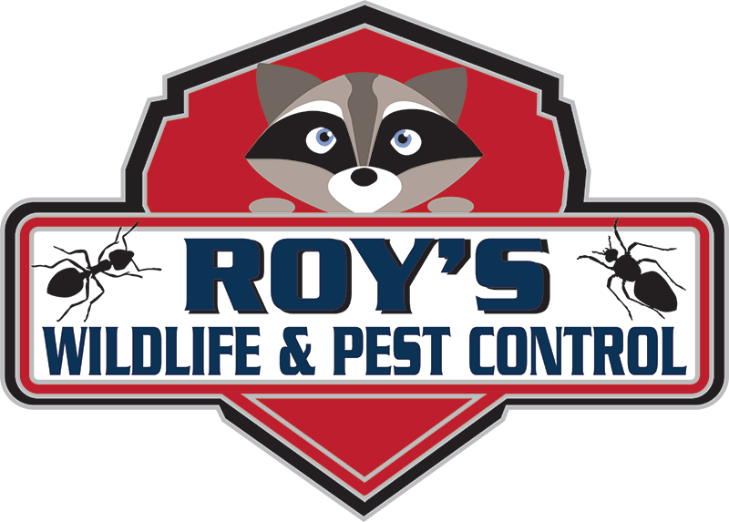 Roy's Wildlife and Pest Control logo